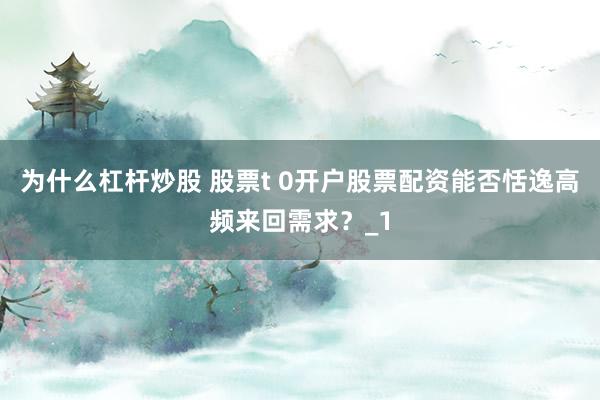 为什么杠杆炒股 股票t 0开户股票配资能否恬逸高频来回需求？_1