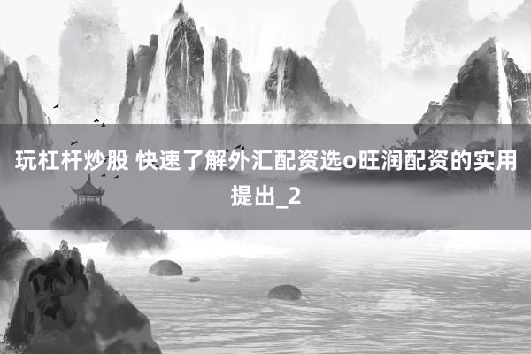 玩杠杆炒股 快速了解外汇配资选o旺润配资的实用提出_2